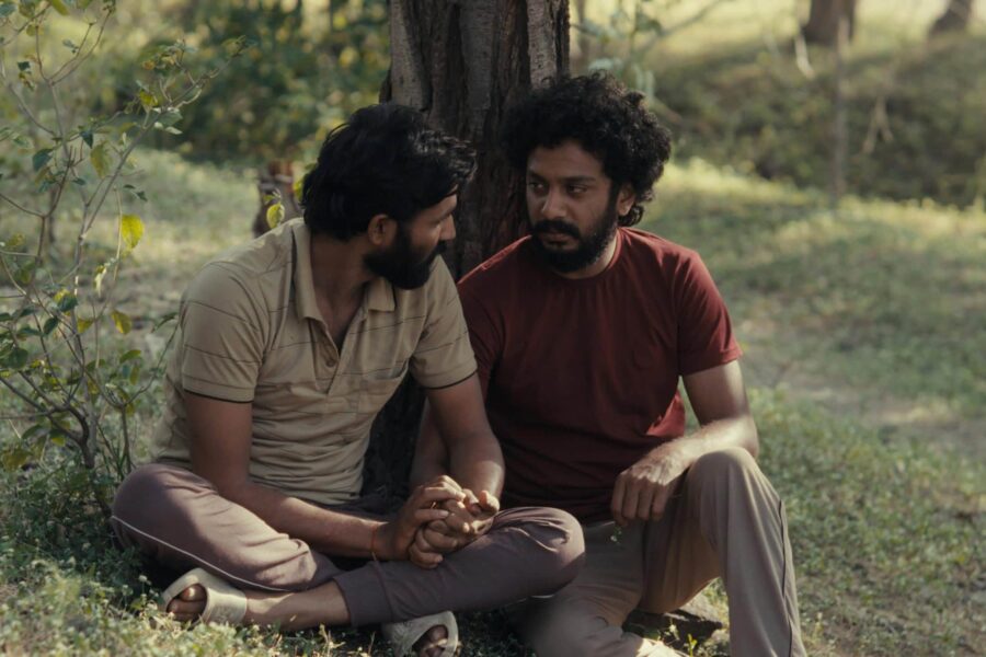 Two people sat outside beneath a tree, the person on the left is in a white shirt with dark hair and a beard, the person on the right is in a dark red shirt with dark hair and a beard. The person in the dark red shirt is staring at the person in the white shirt.
