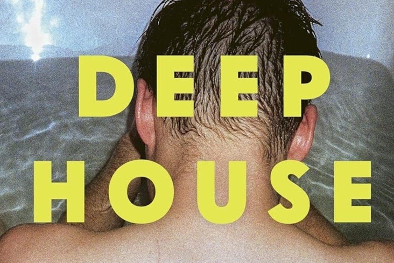The book cover for Deep House, it features an image of two men in the bath, taken from behind so you can see their backs. It reads - Deep House, the Gayest story ever told.
