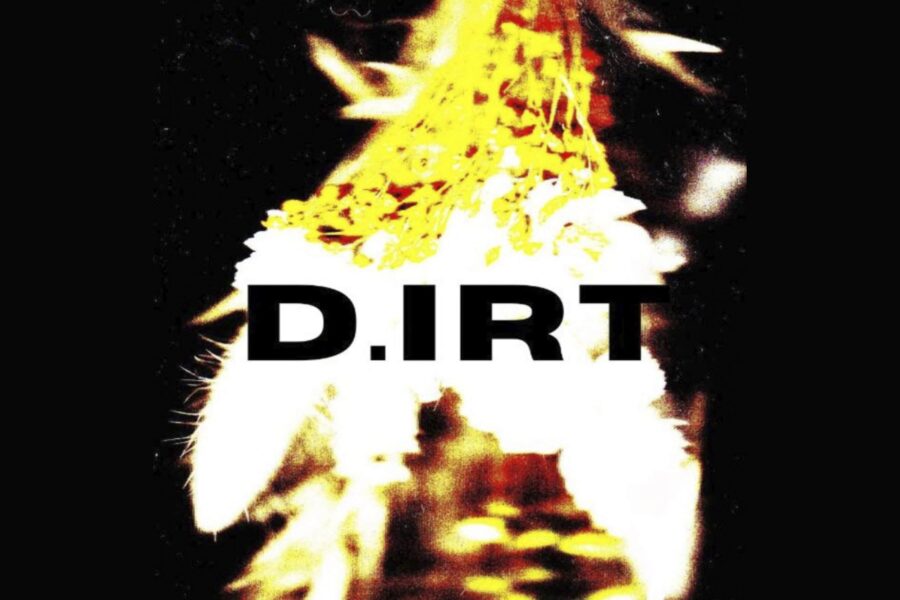 A dark image with bright over saturated plants in the centre that are shining bright white and yellow. Over the top of the plants there is bold black text that reads D.IRT.