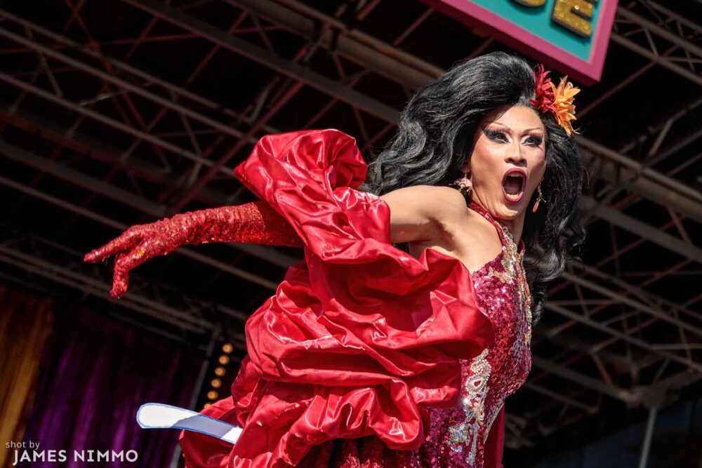 Miss Dynasty